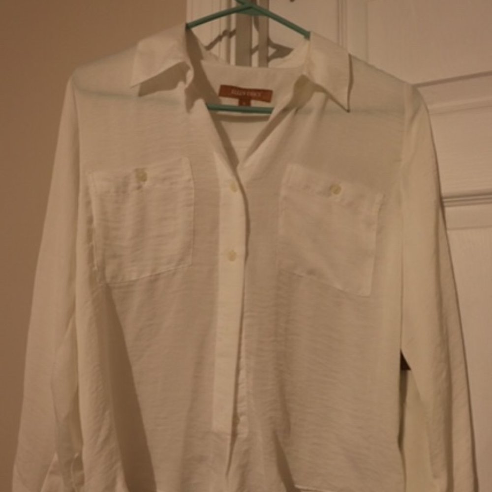 Ellen Tracey Sheer White Blouse